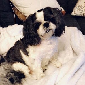 Meet your Posher, Audrey